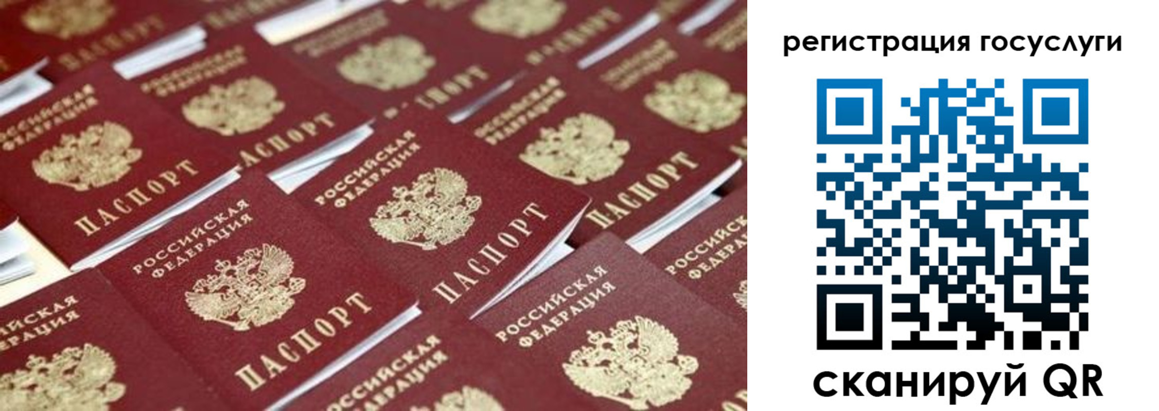 прописка ребенка в Луховицах